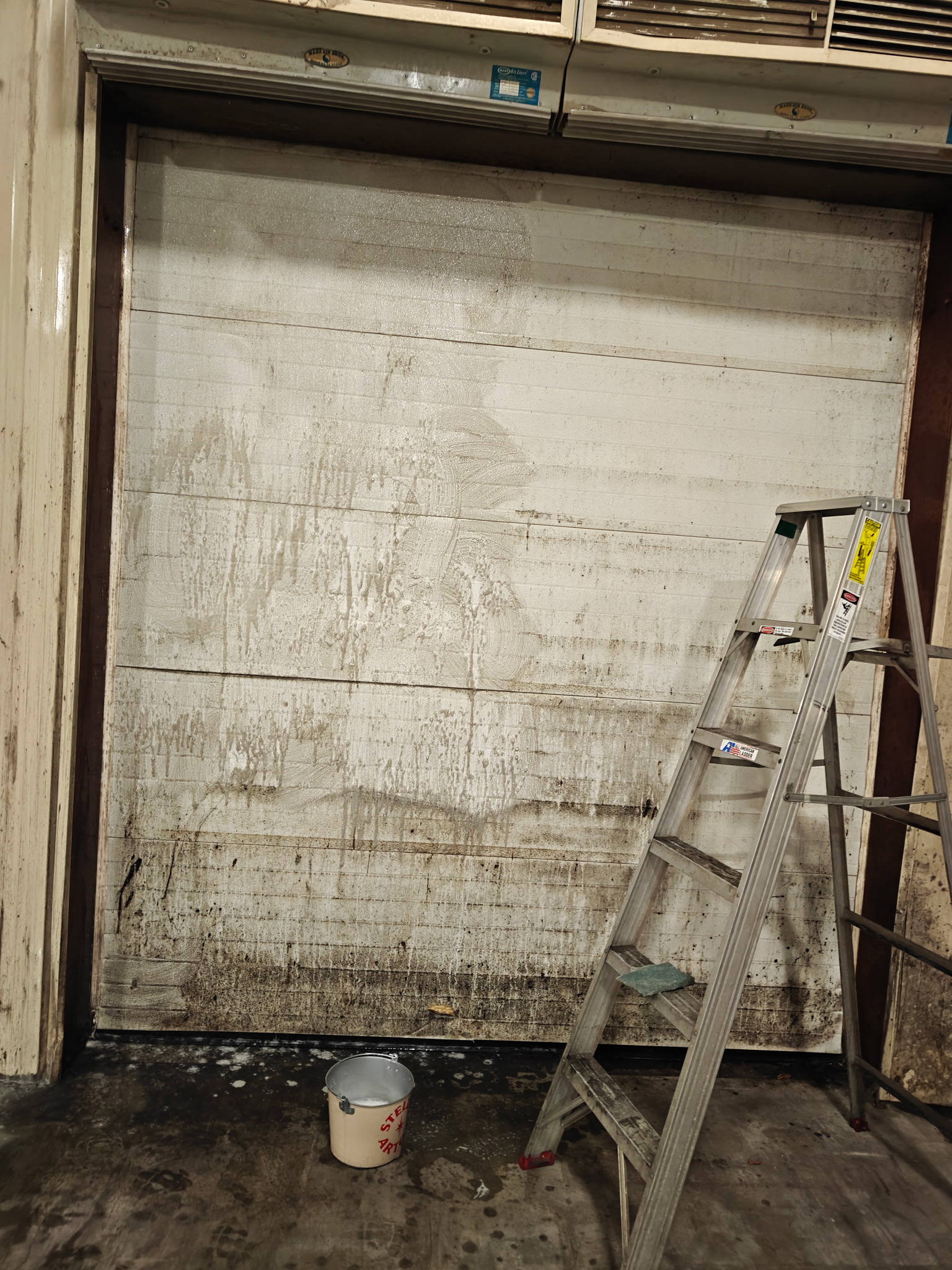 Garage door before cleaning — heavy mold and grime buildup