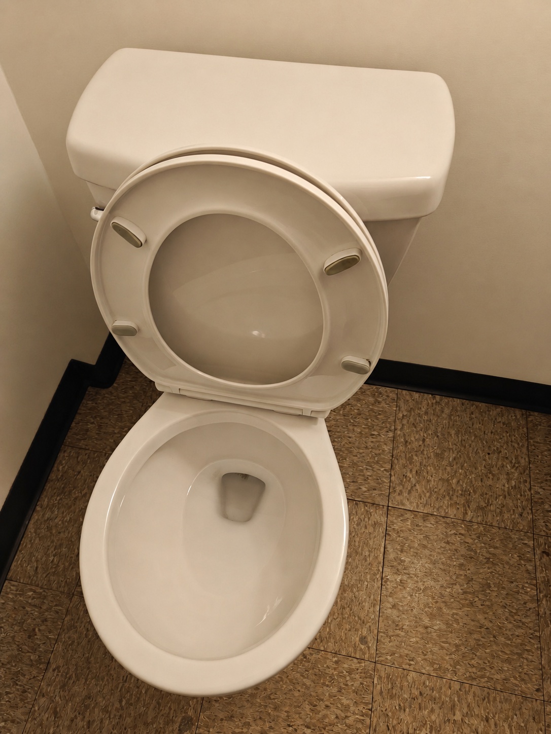 Toilet after ShineWork deep clean — sparkling and sanitized