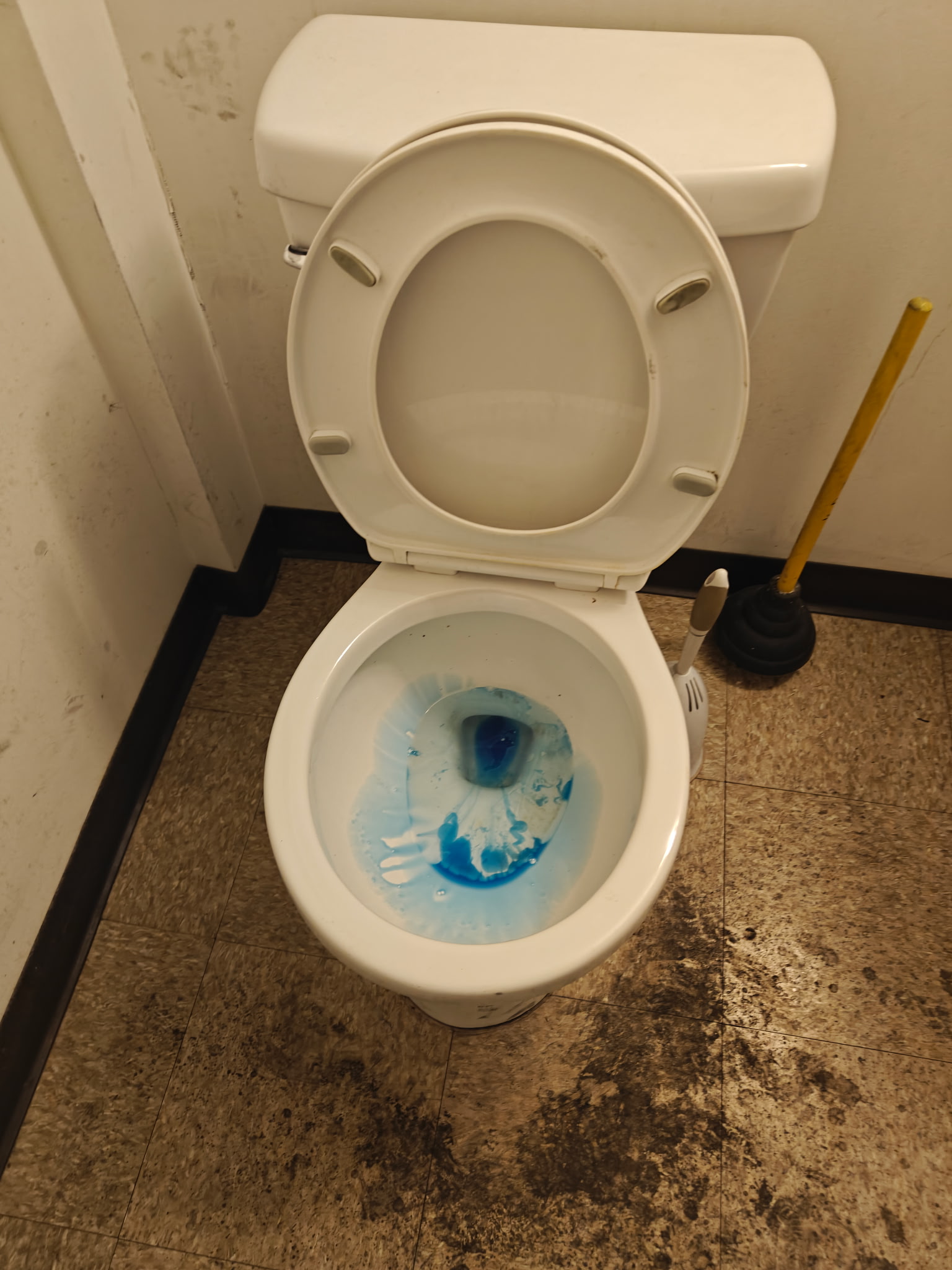 Toilet before deep cleaning — heavy stains and limescale buildup